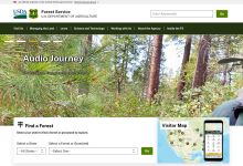 US Forest Service homepage screenshot