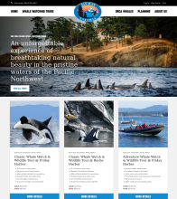 Whale watch tour booking site