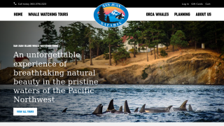 Whale watch tour booking site